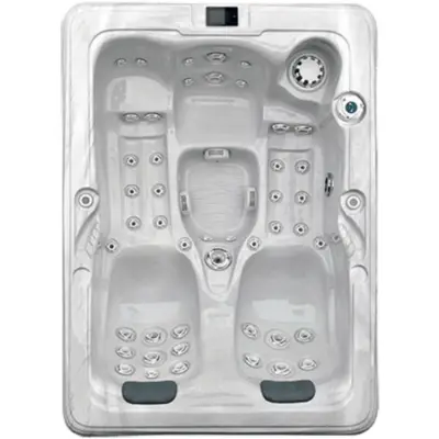 Dynasty Spas Twin Palms