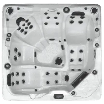 Dynasty Spas Pleasure Cove
